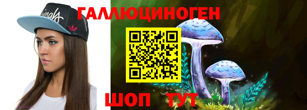 Псилоцибиновые грибы мицелий  Вход с VPN  Уссурийск 